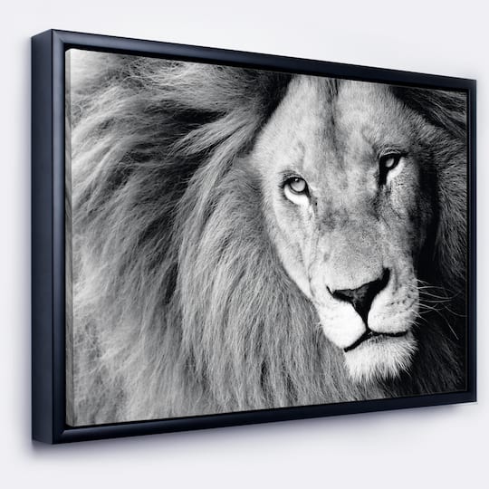 Designart - Lion Head in Grey